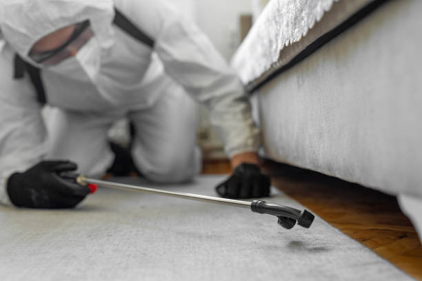 Professional Bed Bug Control technician working in Troy, MO