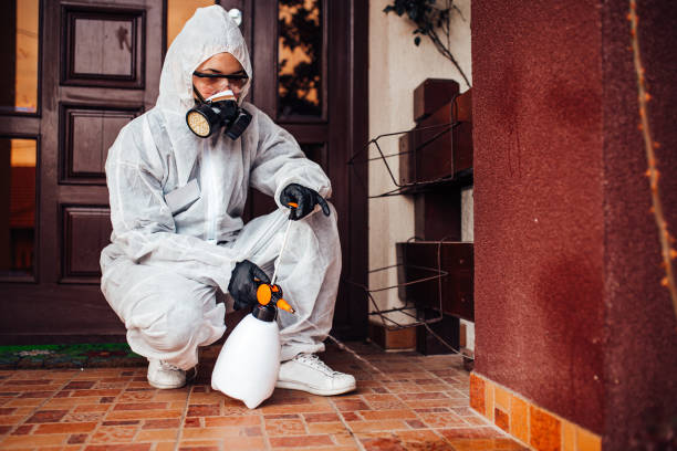 Reliable Bed Bug Control contractor in Troy, MO by Nex Pest Control